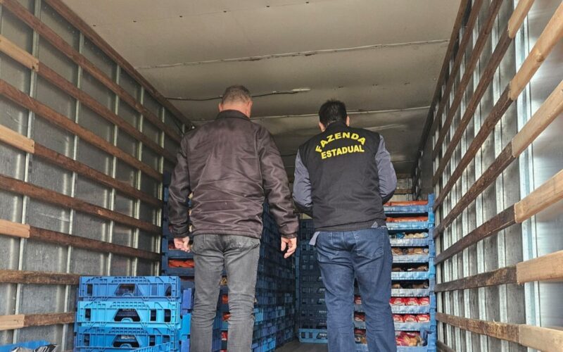 Fazenda autua cargas irregulares durante fiscalização em rodovia no Sul do estado