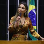 Lei cria o Dia do Conselheiro Comunitário de Segurança - Notícias