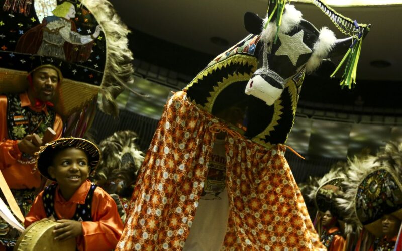 Mais de 400 grupos festejam Bumba-meu-boi no Maranhão