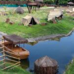 Material de aves mortas em BioParque do Rio será analisado em Campinas
