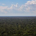 Organizações sociais propõem plano para investimentos na Amazônia