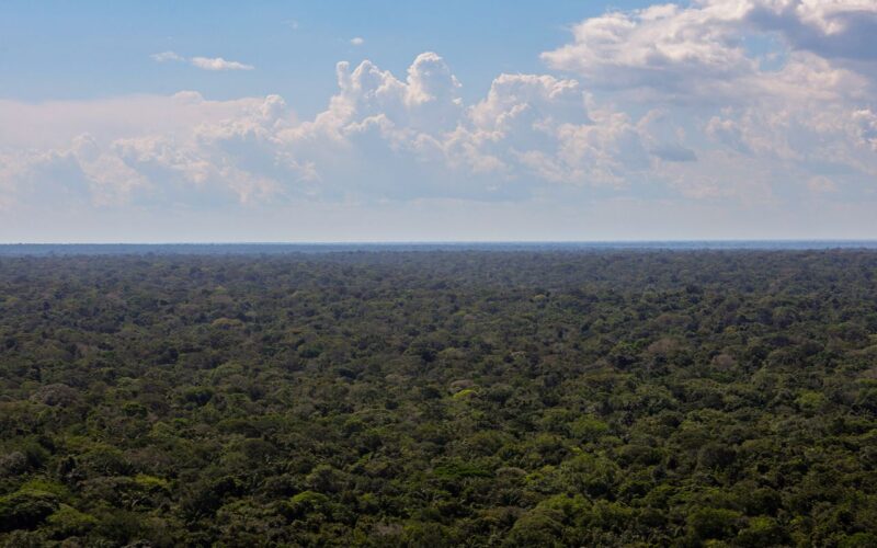 Organizações sociais propõem plano para investimentos na Amazônia