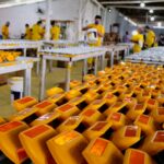 Presos da Colônia Agrícola de Palhoça contribuem para o Programa Estrada Boa