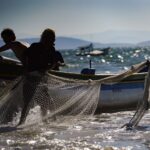 Santa Catarina conquista ampliação da cota de pesca de arrasto de praia em 100 toneladas