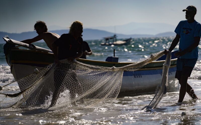 Santa Catarina conquista ampliação da cota de pesca de arrasto de praia em 100 toneladas