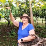 Santa Catarina tem o menor índice de insegurança alimentar do país, aponta estudo com base nos dados do CadÚnico