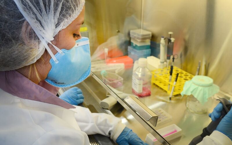 USP: pesquisa de vacina contra zika avança em testes com camundongos