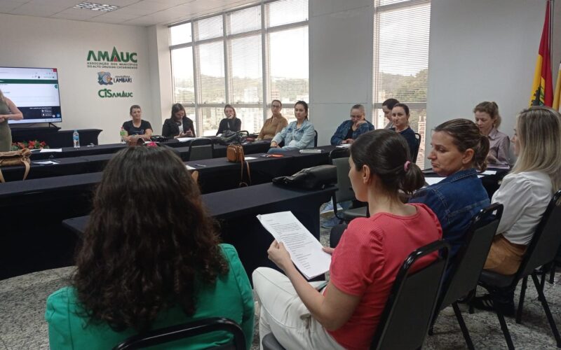 Udesc e Secretaria da Saúde capacitam enfermeiros para identificar gestações de risco