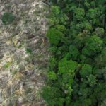 Brasil perdeu 111,7 milhões de hectares de áreas naturais em 40 anos