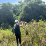 CASAN investe em restauração ecológica nas dunas da Lagoa da Conceição