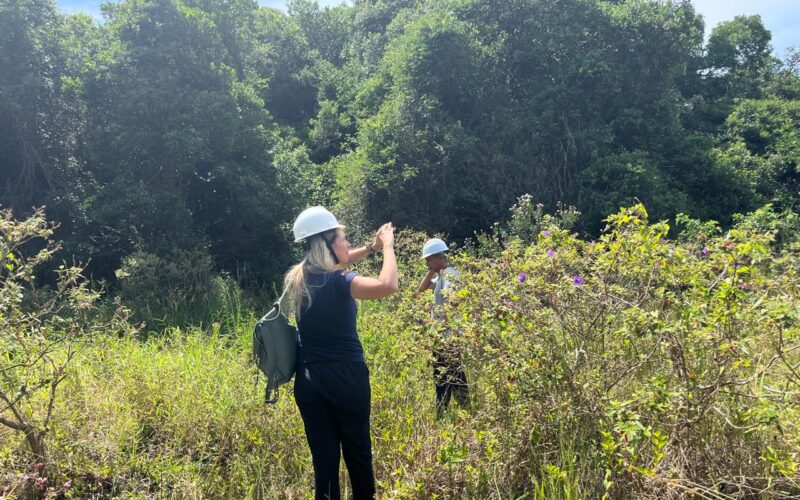 CASAN investe em restauração ecológica nas dunas da Lagoa da Conceição
