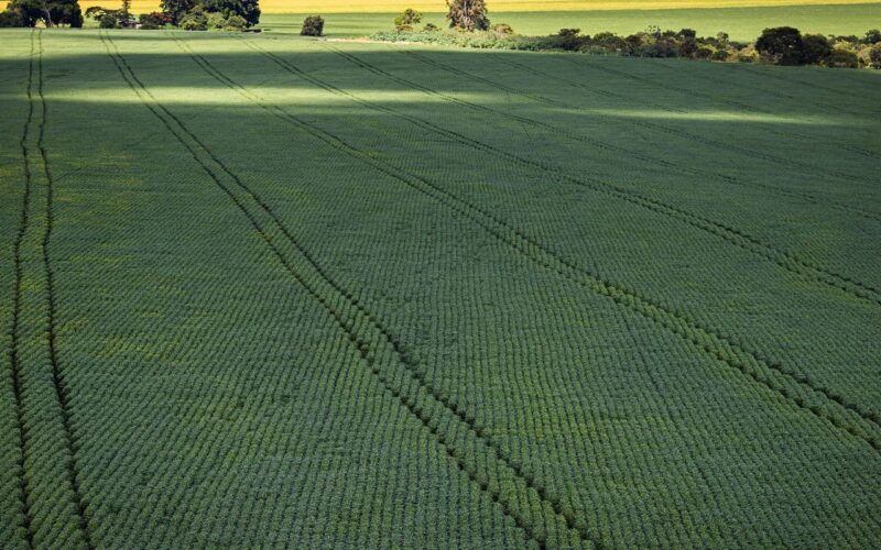 COP30: agro quer se posicionar como parte da solução, diz associação