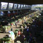 Ceagesp devolve a comerciantes R$ 90 milhões de IPTU indevido