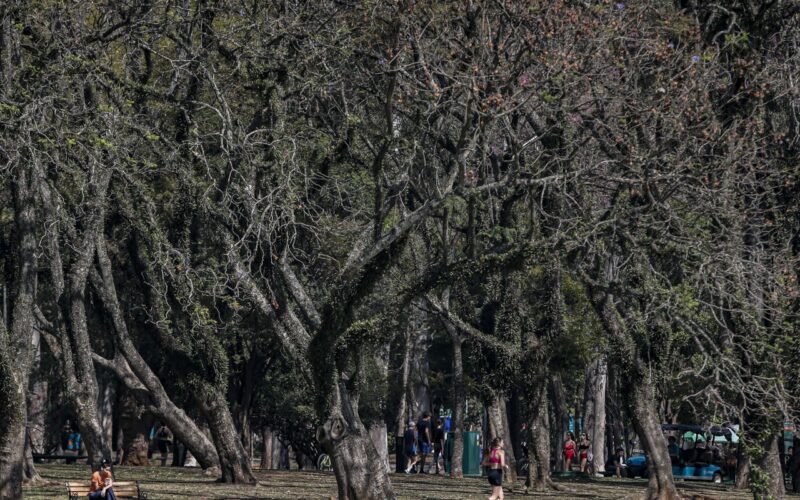 Cidade de São Paulo tem agosto mais seco desde 2020