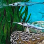 Cientistas brasileiros identificam nova espécie de peixe pré-histórico