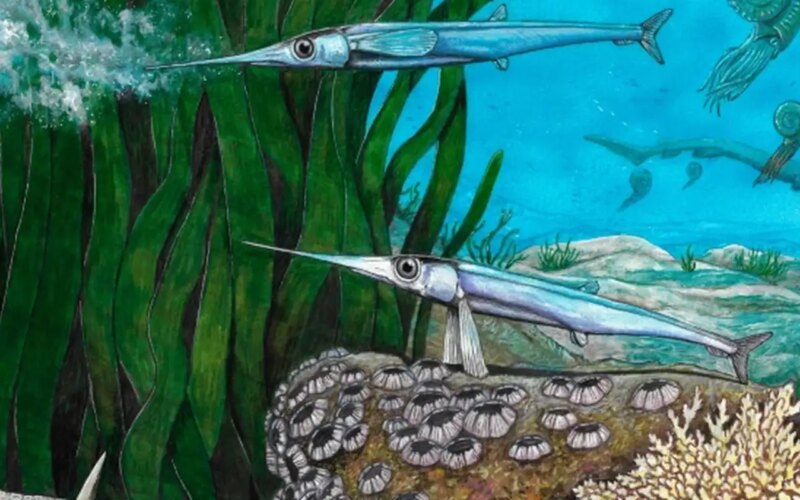 Cientistas brasileiros identificam nova espécie de peixe pré-histórico