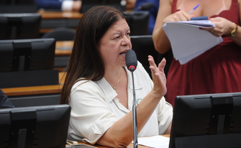 Comissão aprova cota mínima em contratos públicos para mulheres em situação de violência doméstica - Notícias