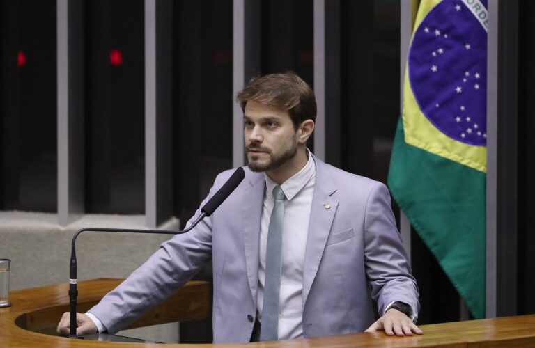 Comissão aprova pena maior para incêndio florestal que provocar morte de animais - Notícias