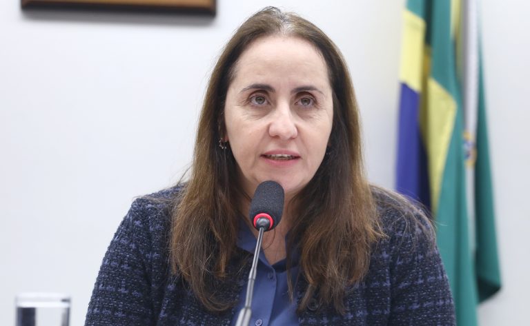Comissão debate eficácia do Custo Aluno-Qualidade na educação básica - Notícias