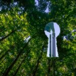 Comissão debate impactos para o consumidor da publicidade ambiental enganosa – Notícias