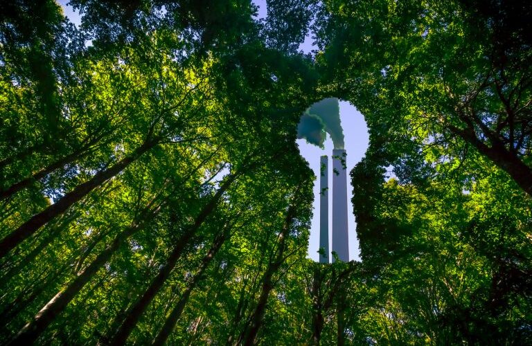 Comissão debate impactos para o consumidor da publicidade ambiental enganosa - Notícias