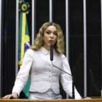 Deputados governistas e da oposição defendem soluções diferentes para combater crimes cibernéticos contra crianças – Notícias