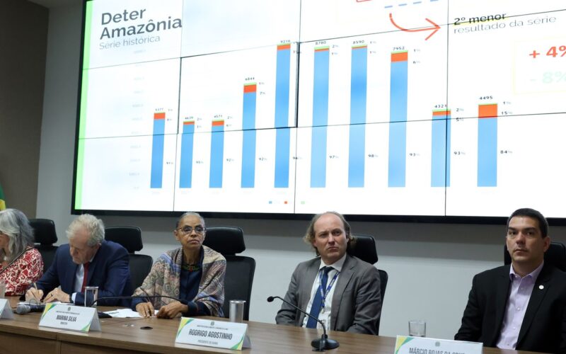 Em 12 meses, desmatamento cai 20% no Cerrado e sobe 4% na Amazônia