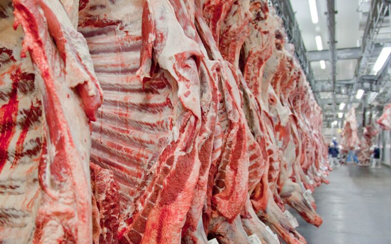 Exportação de carne bovina bate recorde em mês anterior ao tarifaço