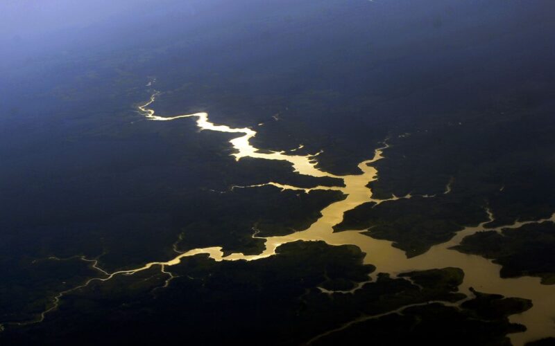 Fundo Amazônia completa 17 anos com novos investimentos