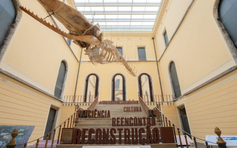 Museu Nacional realiza no domingo sétima edição de festival