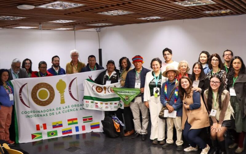 Organizações sociais querem participação na governança da OTCA