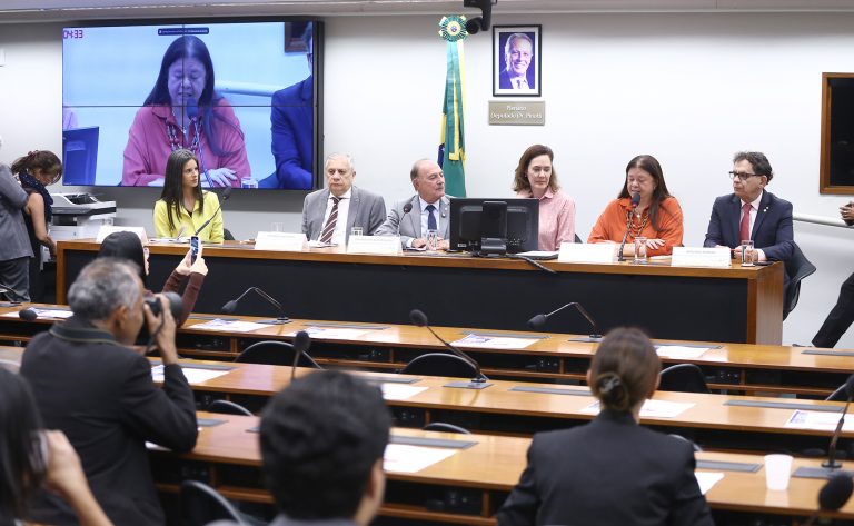 Participantes de seminário defendem que a primeira infância esteja no centro dos investimentos - Notícias