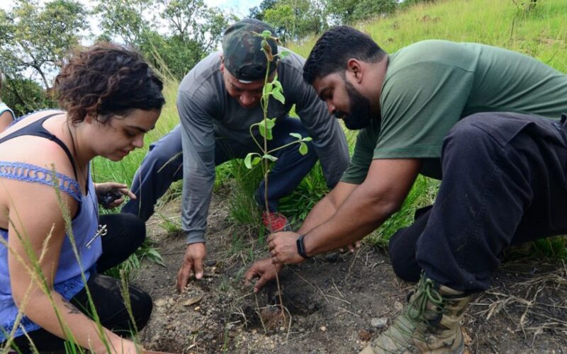 Rio: mutirão na Serra do Vulcão promove ações climáticas da periferia
