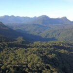 Seminário debate cenário ambiental nos estados brasileiros – Notícias
