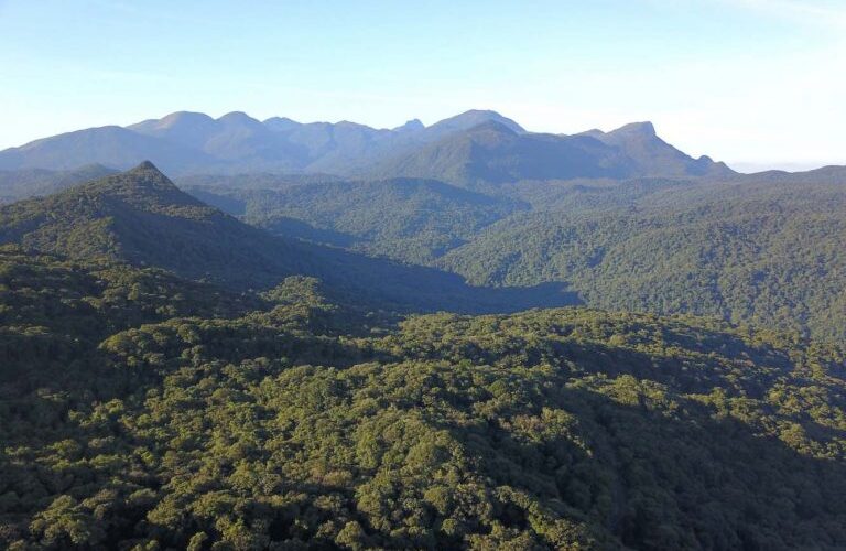 Seminário debate cenário ambiental nos estados brasileiros - Notícias