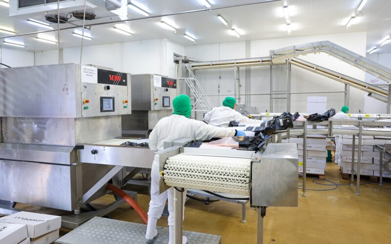 Sine oferece mais de 9 mil vagas de emprego em Santa Catarina