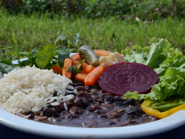 Tecnologia e segurança alimentar: 50 anos de impacto da pesquisa da Epagri na produção de arroz e feijão