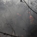 UE: incêndios florestais já queimaram mais de 1 milhão de hectares