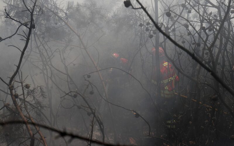 UE: incêndios florestais já queimaram mais de 1 milhão de hectares
