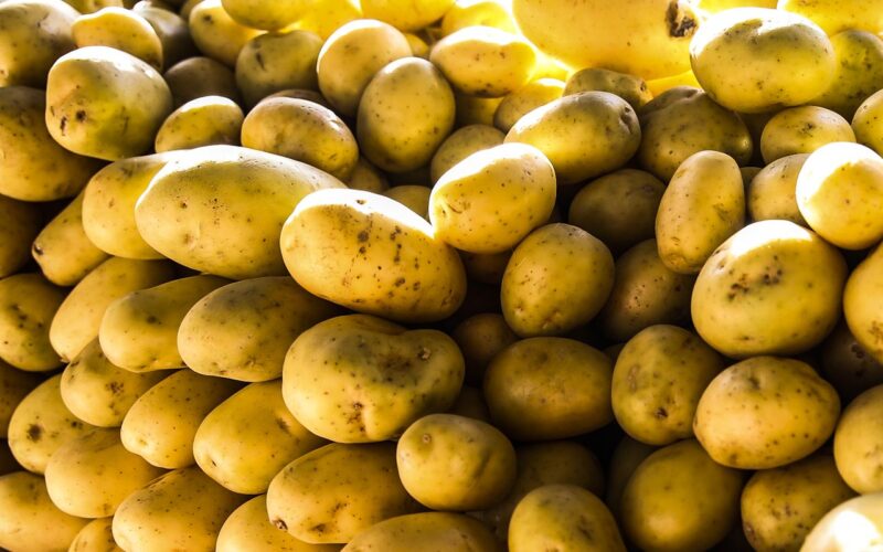 Batata, ovos e verduras reduzem pressão inflacionária em agosto em SP