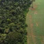 Brasil apresenta soluções de financiamento climático em Nova York