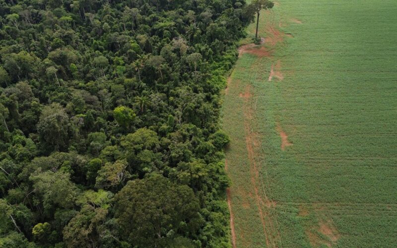 Brasil apresenta soluções de financiamento climático em Nova York