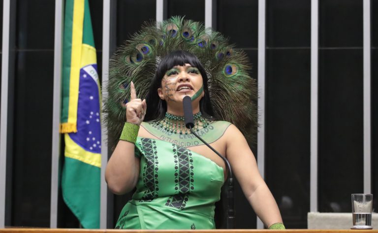 Comissão aprova criação de política para repatriar objetos culturais de povos indígenas - Notícias