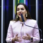 Comissão aprova plano para combater doenças transmitidas por mosquitos e carrapatos – Notícias