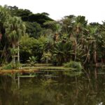 Concurso de Fotografia integra programação do Dia Mundial da Limpeza