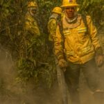 Fotógrafo da Agência Brasil é destaque em prêmio internacional