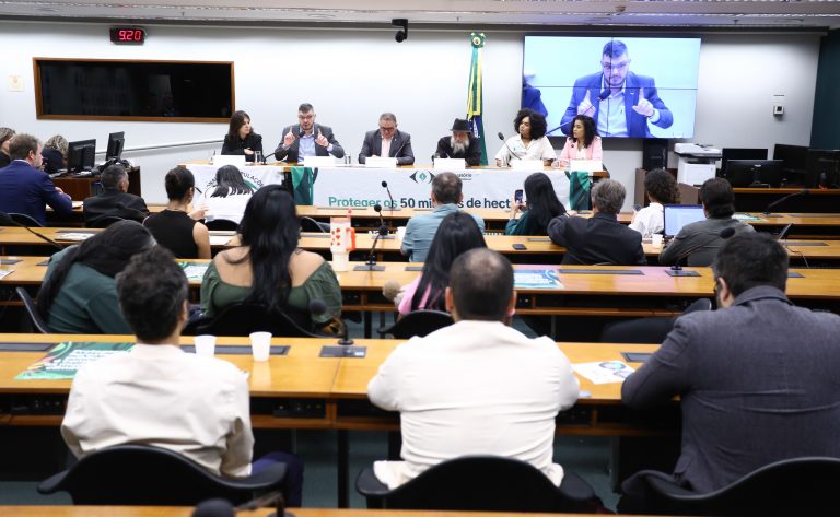 Perto da COP 30, cresce mobilização da sociedade civil pela destinação de florestas públicas na Amazônia - Notícias