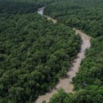 Programação do Dia da Amazônia mobiliza para COP30