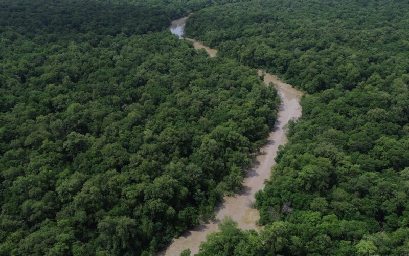 Programação do Dia da Amazônia mobiliza para COP30