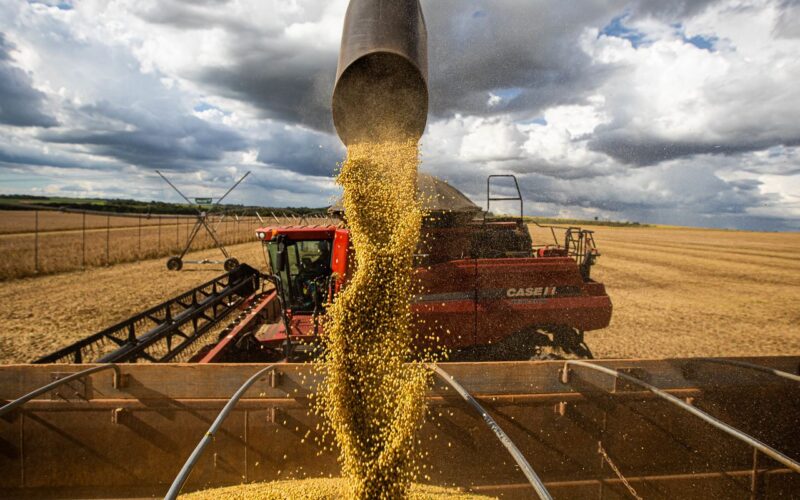 Queda no preço dos alimentos vai permanecer, diz ministro